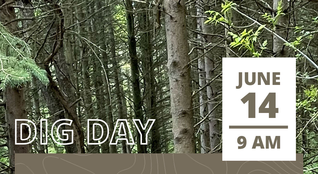 dig-day-june14-web