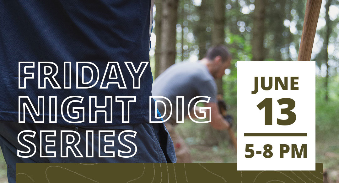 friday-night-digs-june13-web