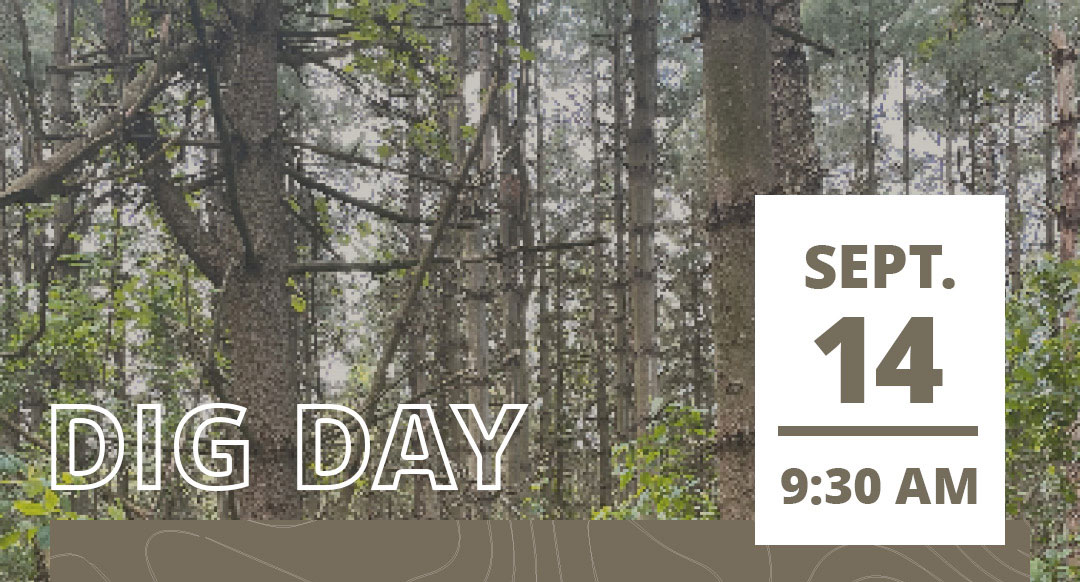 dig-day-sept14-website